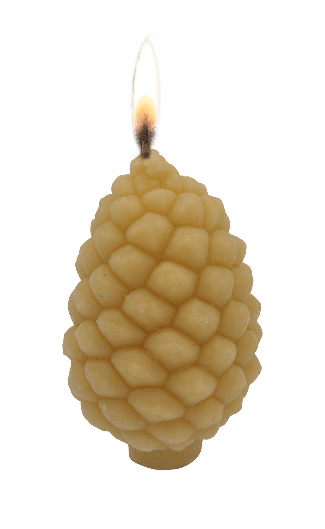 Dennenappel bijenwas 75x110 mm 2