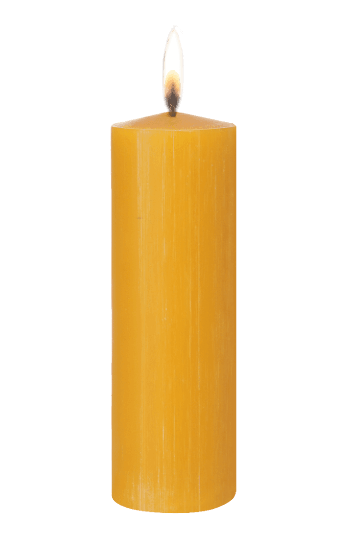 Stumpenkerze Bienenwachs 50 x 150 mm Bild 3